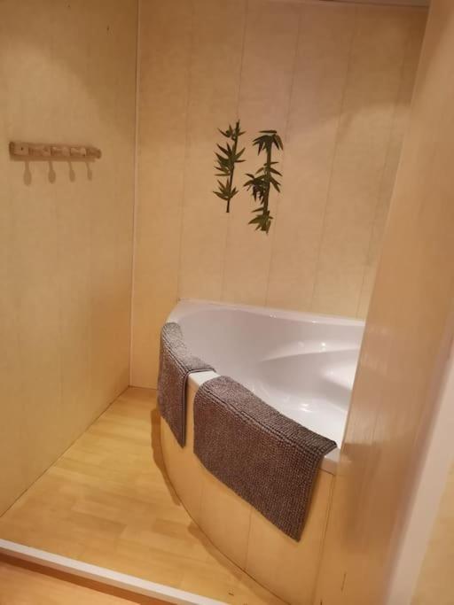 Maison Vosgienne 2 A 8 Personnes Rochesson Exteriér fotografie
